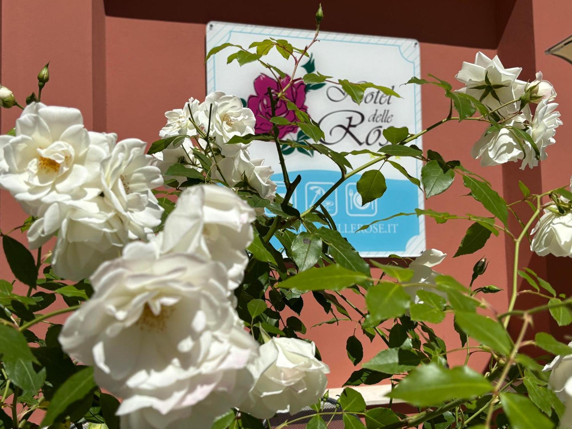 Hotel Delle Rose 산토바르톨로메오알마레 외부 사진