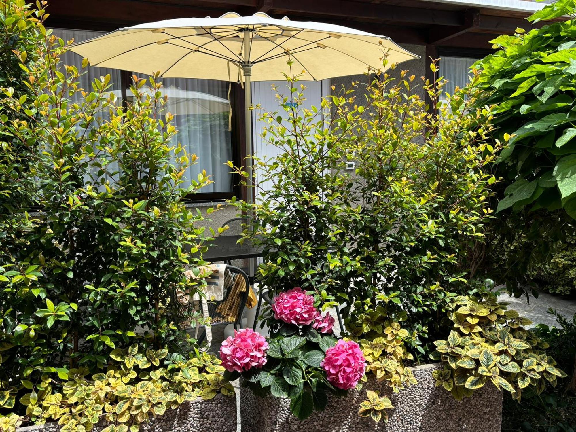 Hotel Delle Rose 산토바르톨로메오알마레 외부 사진